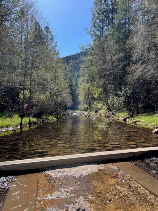 Luxury Glamper Retreat 14 Forest Site Payson Dış mekan fotoğraf